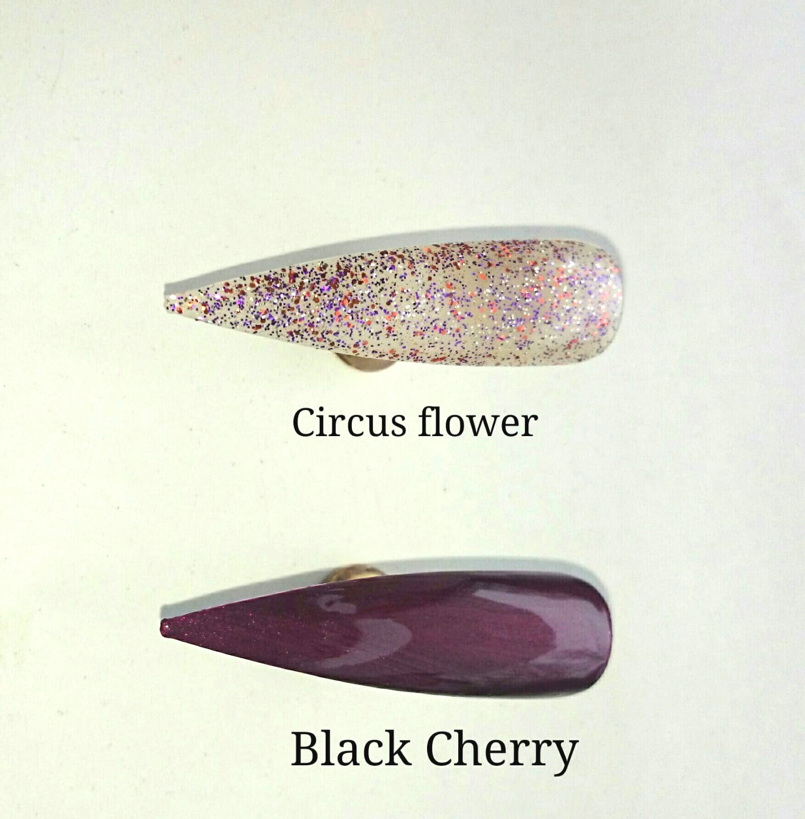 Fiesta Caribbean 19 en 20